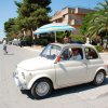 Montevago 2010 (211)